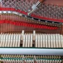 비파음악학원 이미지