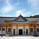 춘천명물닭갈비,막국수 이미지