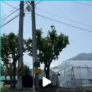 포코러쉬 이미지