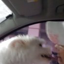 벨라켄넬 이미지