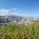 남산스토리 나인 이미지