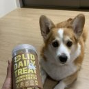 앙 | 강아지 노즈워크 훈련 간식 세이오앙 저알러지 반려견 트릿 후기