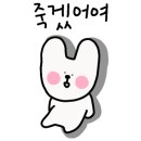 제주펫스쿨 이미지