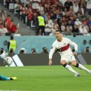 안 카카오 검색결과