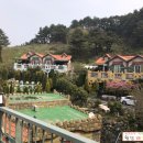 쉐이리코타키나 이미지