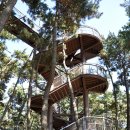 향림목장 | 서천 희리산자연휴양림 - 꽃샘추위 시샘에 2% 부족한 벚꽃 캠핑. 위오 썬타프, 227번 데크. (4/7~4/8...