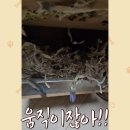 학계농장 이미지