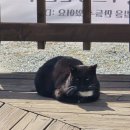 새벽기차 | [왓츠인마이블로그] 강릉 당일치기 여행 코스 | 새벽 기차 타고 다녀온 카페·맛집·해변·소품샵 후기