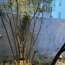 동경 | 부산 광안리 동경밥상 웨이팅 후기, 주차 꿀팁까지 총정리