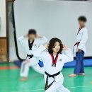 용인대가온태권도 이미지