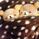 디디피 스테이 | 쉽게만 살아가면 재미없어 빙고