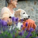 행복한 산책 이미지