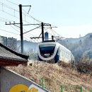 오십천로 이미지