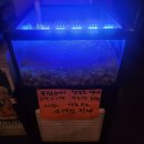 시래기 닭볶음탕, 육사시미 안주 꿀조합! 도림천 야외 감성 신림술집 추천_포차1979 신림본점