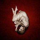 The Father 이미지