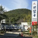 반달곰 | 울산 반달곰 식당 내돈내산 후기. 부담 없이 먹기 좋은 로컬 맛집