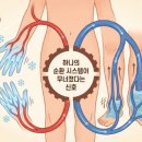 로데오약국 - 양천구 신정중앙로 103 | 로데오약국