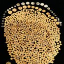 금화농장 이미지