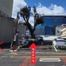 새별안경 이미지