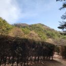 춘하에스프레소 | 대전 수통골 카페, 로스팅카페, 춘하에스프레소 솔직후기