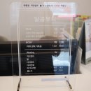 네일도슈가 이미지