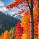 Autumn trees surround a barn in Vermont 이미지