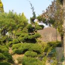 신월동063 이미지