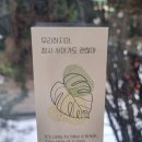 숨 | 중곡동 카페 숨:콰티디앙 방문 후기｜메뉴·가격·운영시간 정리