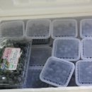 야정농장 이미지