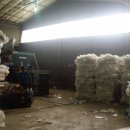 크린환경사료 이미지