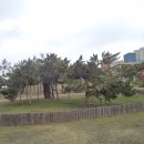 곰솔한복