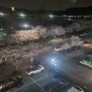 유앤아이댄스학원 이미지