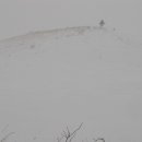 대관령밧데리 이미지