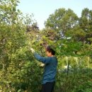 세종황제슈퍼 이미지