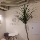 영주빨래방세탁소 이미지