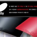 (주)다마스버터플라이코리아