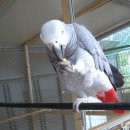 정선목장 이미지