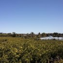 신례2리(공천포) 1 이미지