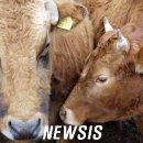 단구1리 이미지