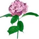 애인호텔 이미지