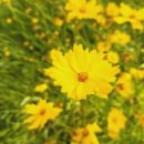 그 사람의 별장 이미지