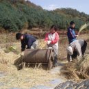 아름농장 이미지