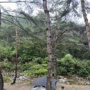 영월캠핑장 무릉도원 법흥계곡 상류에 위치한 캠프오어즈