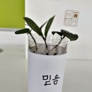 석문계전