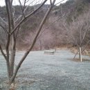 그린하우스캠핑장 이미지