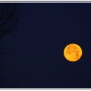 안선목장 이미지