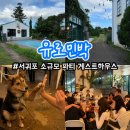 제주도게스트하우스파티유로민박
