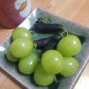 [일상] 10월 셋째주 포토덤프