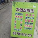 웰빙약초원