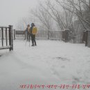 강남-023 이미지